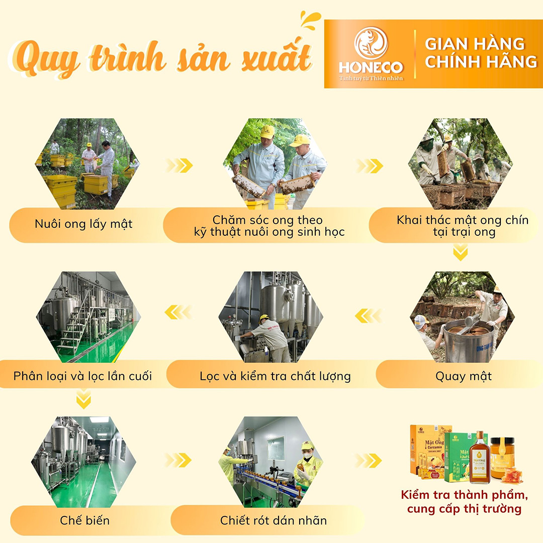 Quy trình khái thác mật ong Tam Đảo Honeco