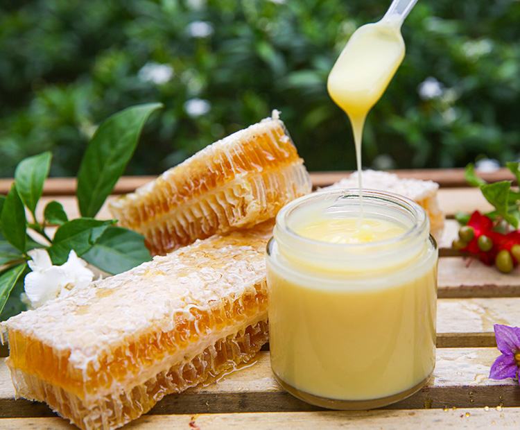 tác dụng của sữa ong chúa