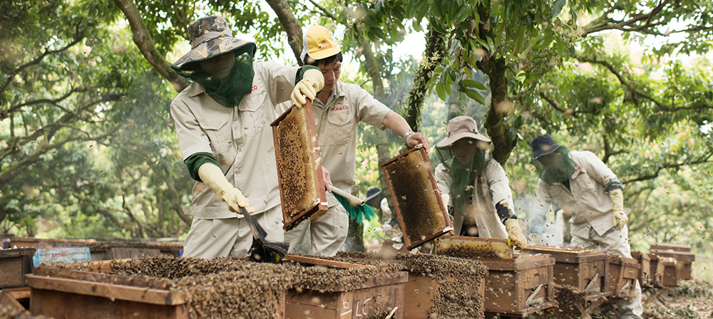 Trang trại Mật ong Honeco