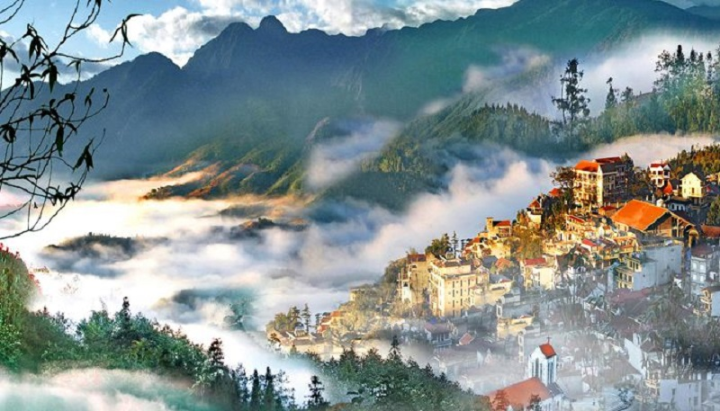 Giới thiệu Công ty Cổ phần Ong Tam Đảo