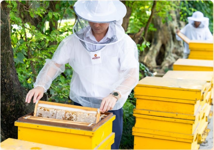 Tại sao các nhà máy thực phẩm, dược phẩm lựa chọn mật ong Honeco làm nguyên liệu đầu vào?