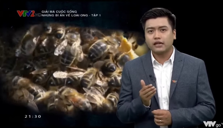 Giải mã cuộc sống những bí ẩn về loài ong tập 1 VTV2