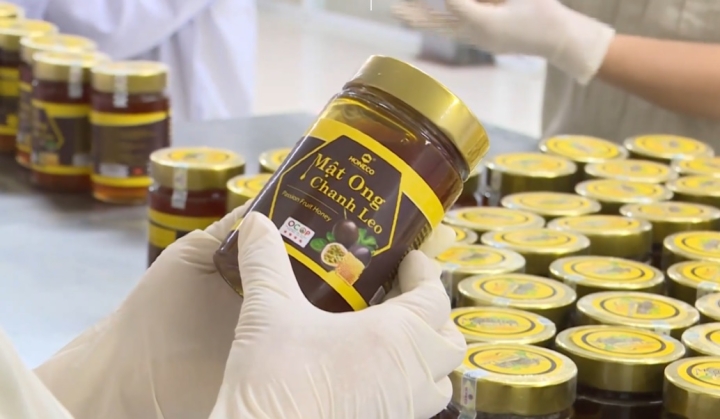 Giới thiệu thương hiệu Ong Tam Đảo Honeco - Truyền hình Vĩnh Phúc