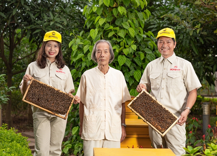 Nói về honeco